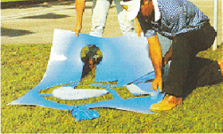 Vulcan Signs - Painting Stencils - Handicap Stencil Image 2